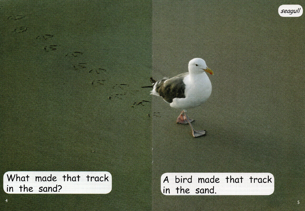 making tracks绘本故事第4页