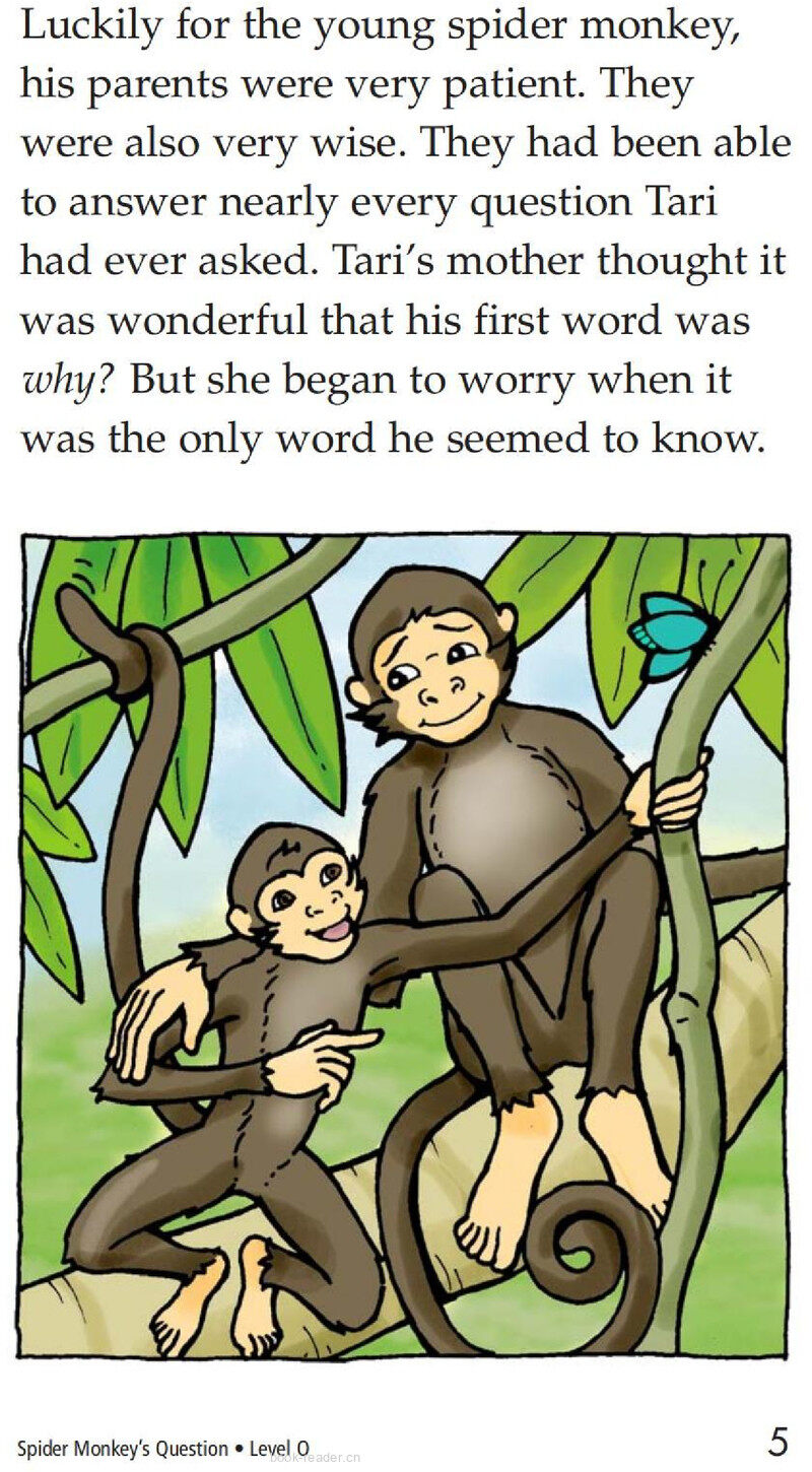 Spider Monkey's Question绘本故事第5页