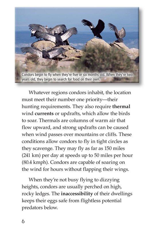 Condors Giant Birds绘本故事第5页