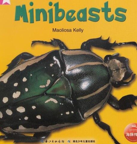 Minibeasts绘本故事第2页