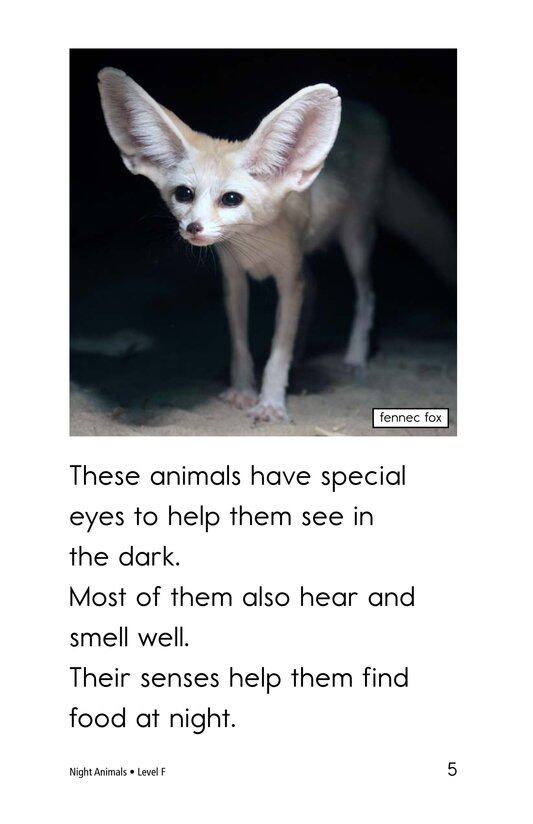 Night Animals绘本故事第4页