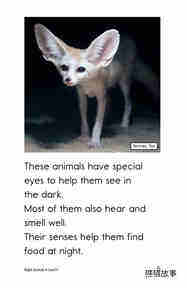 Night Animals绘本故事第4页