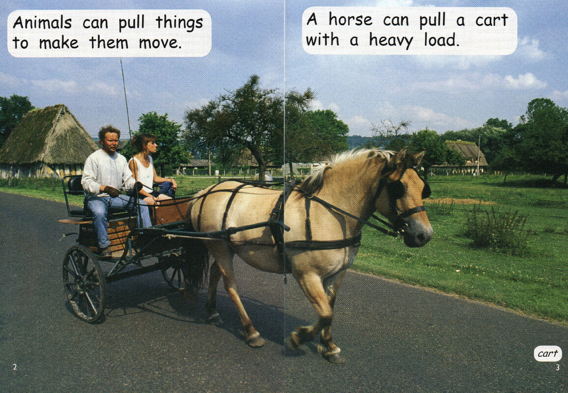 push or pull绘本故事第3页