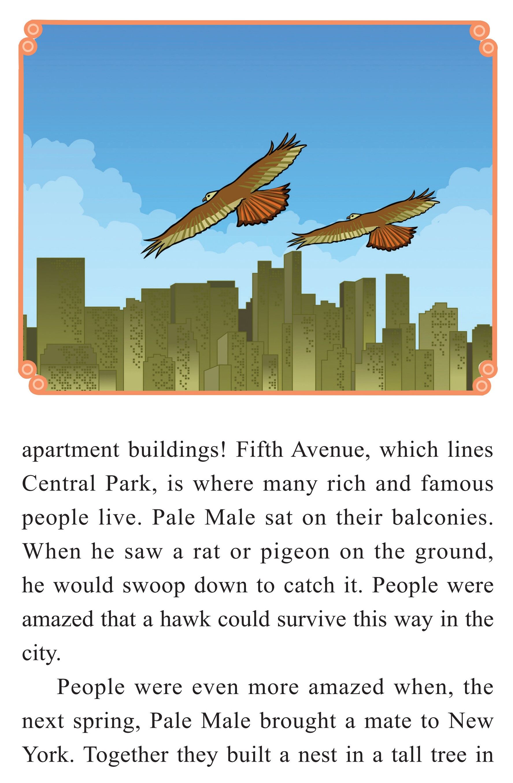 Pale Male：A Hawk Survives in New York City绘本故事第5页