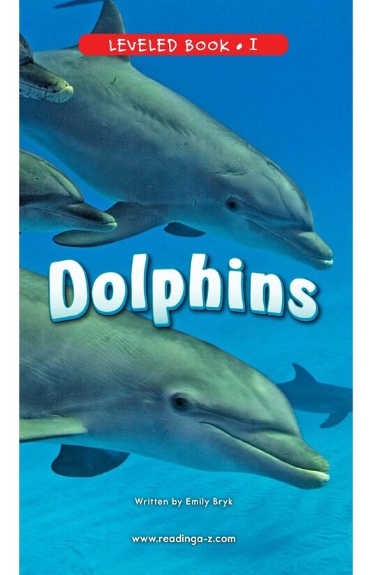 Dolphins绘本故事第2页