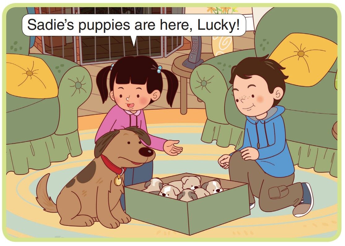 Taking Care of Puppies绘本故事第5页