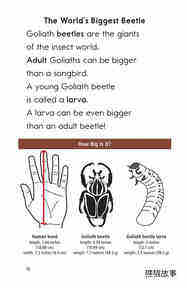 Goliath Beetles Giant Insects绘本故事第3页