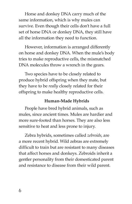 Hybrid Animals绘本故事第5页