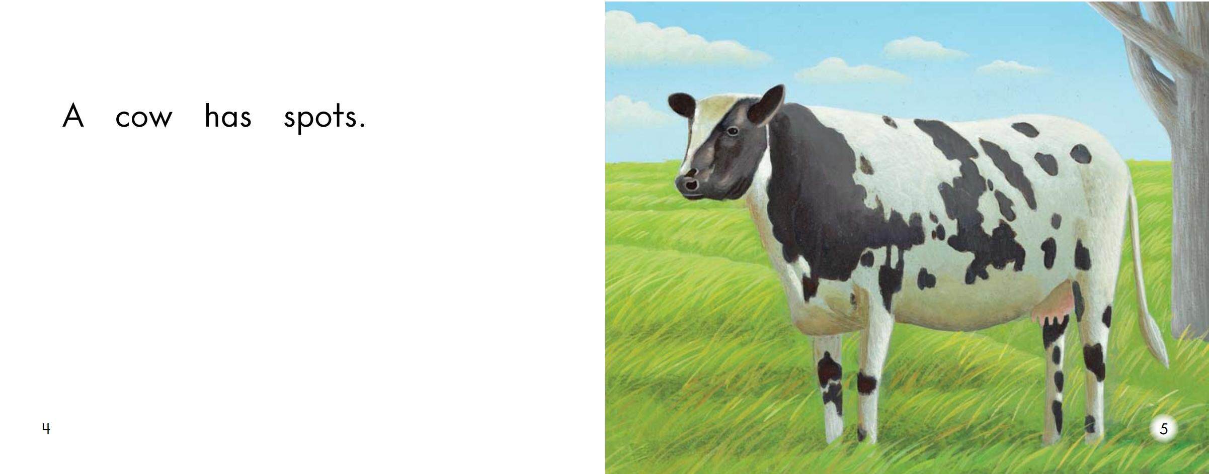 Spots绘本故事第4页