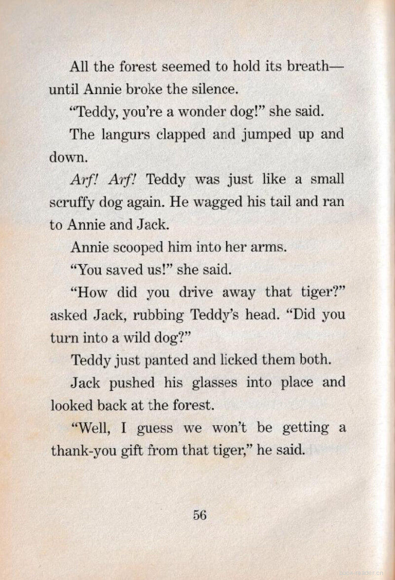 08 Wonder Dog绘本故事第5页