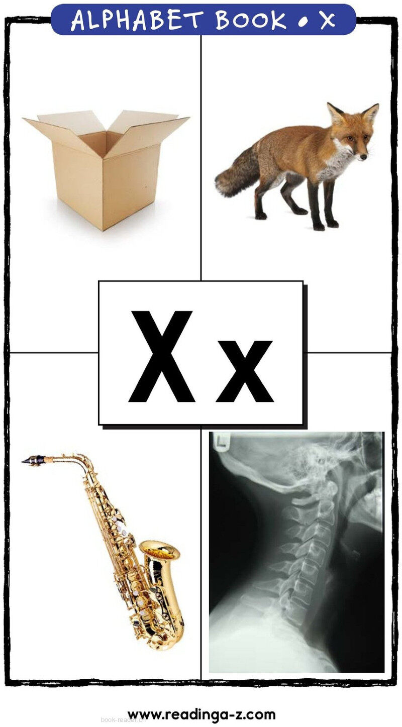 Letter X绘本故事第2页