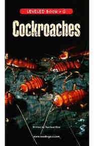 Cockroaches