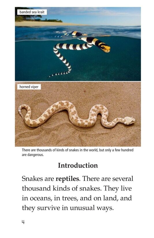 Slithery Snakes绘本故事第3页