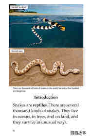 Slithery Snakes绘本故事第3页
