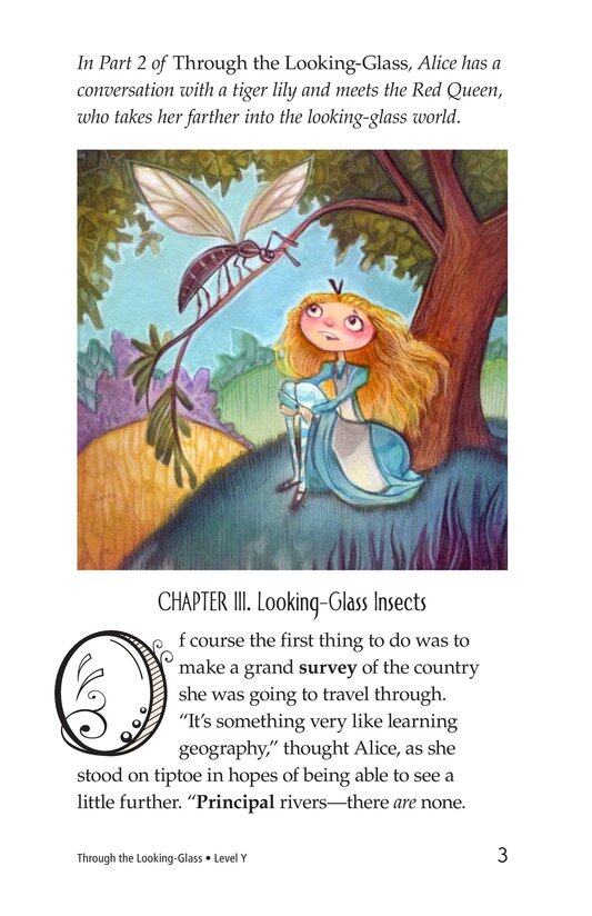 Through the Looking Glass (Part 3)绘本故事第3页