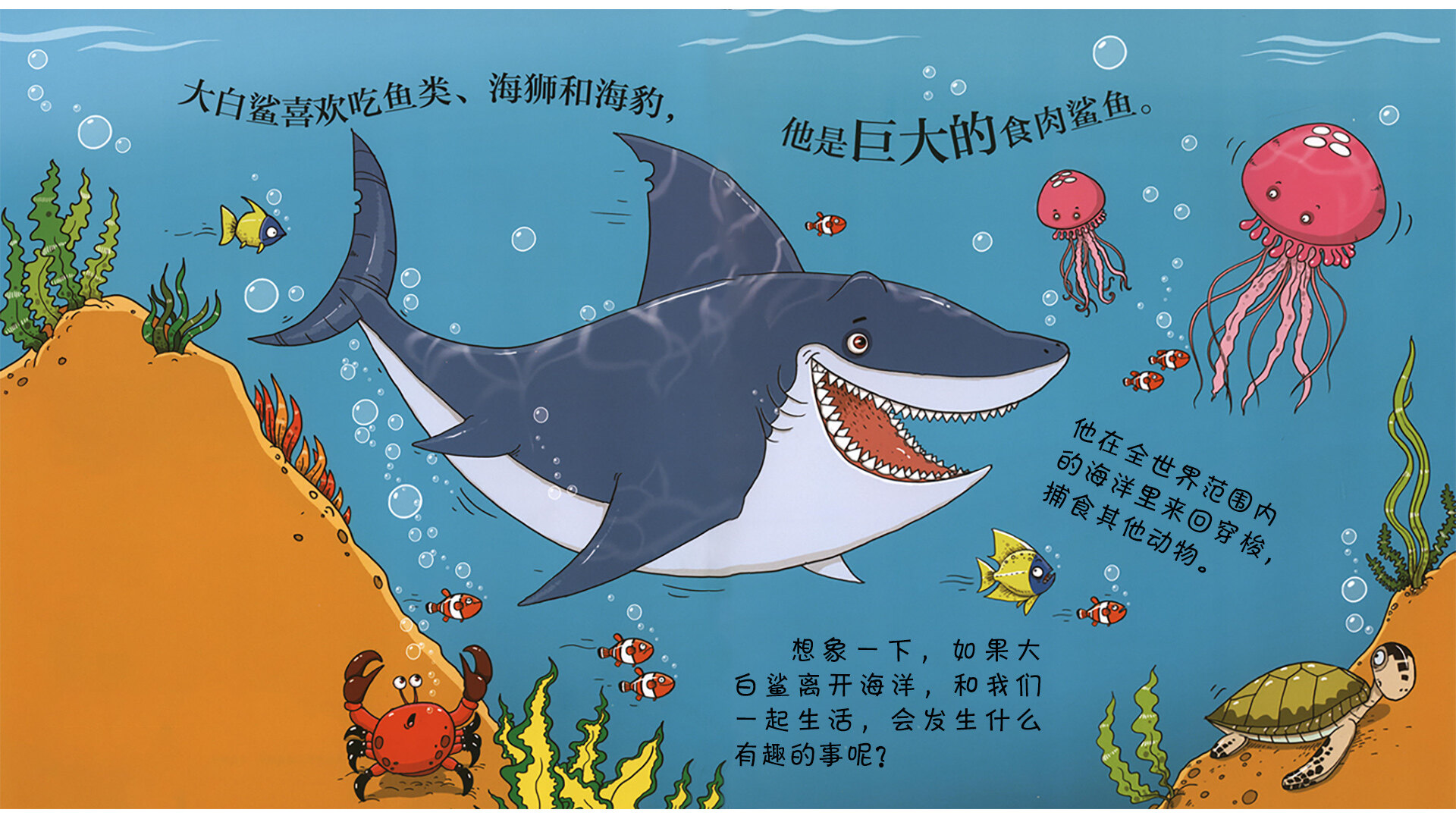 鲨鱼会做体操吗？绘本故事第3页