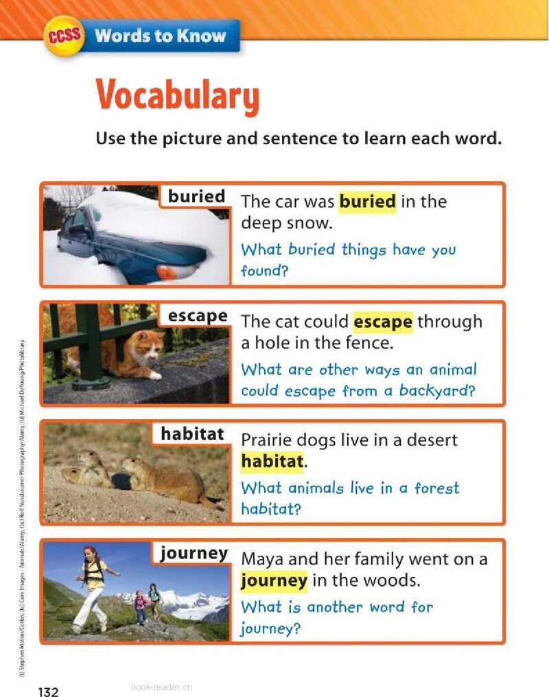 G2 Unit 2 Week 3绘本故事第4页