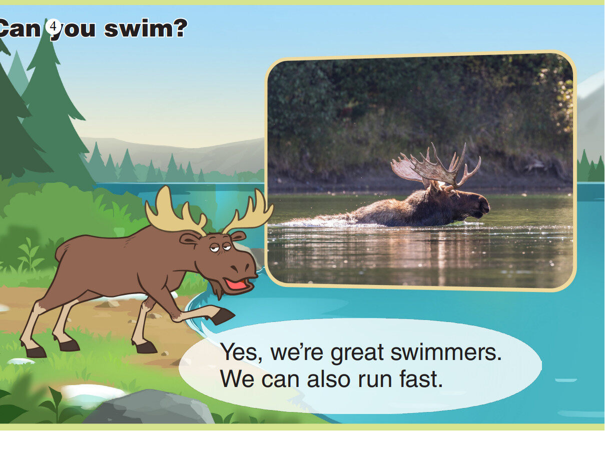 Moose绘本故事第5页