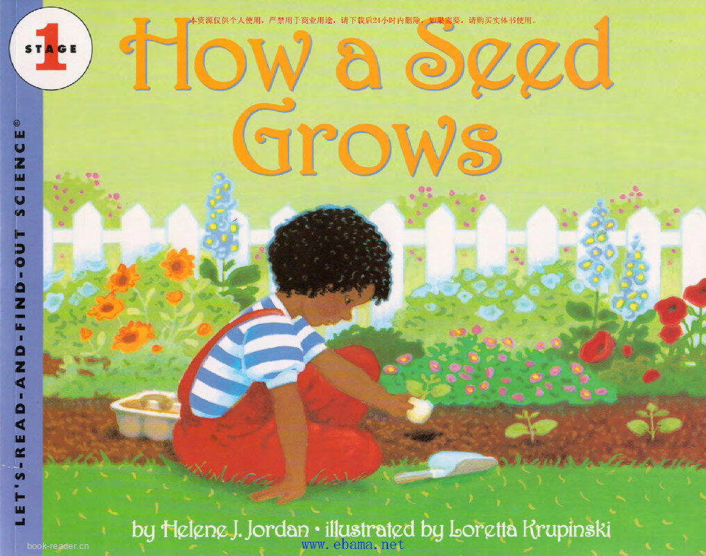 How a Seed Grows绘本故事第2页