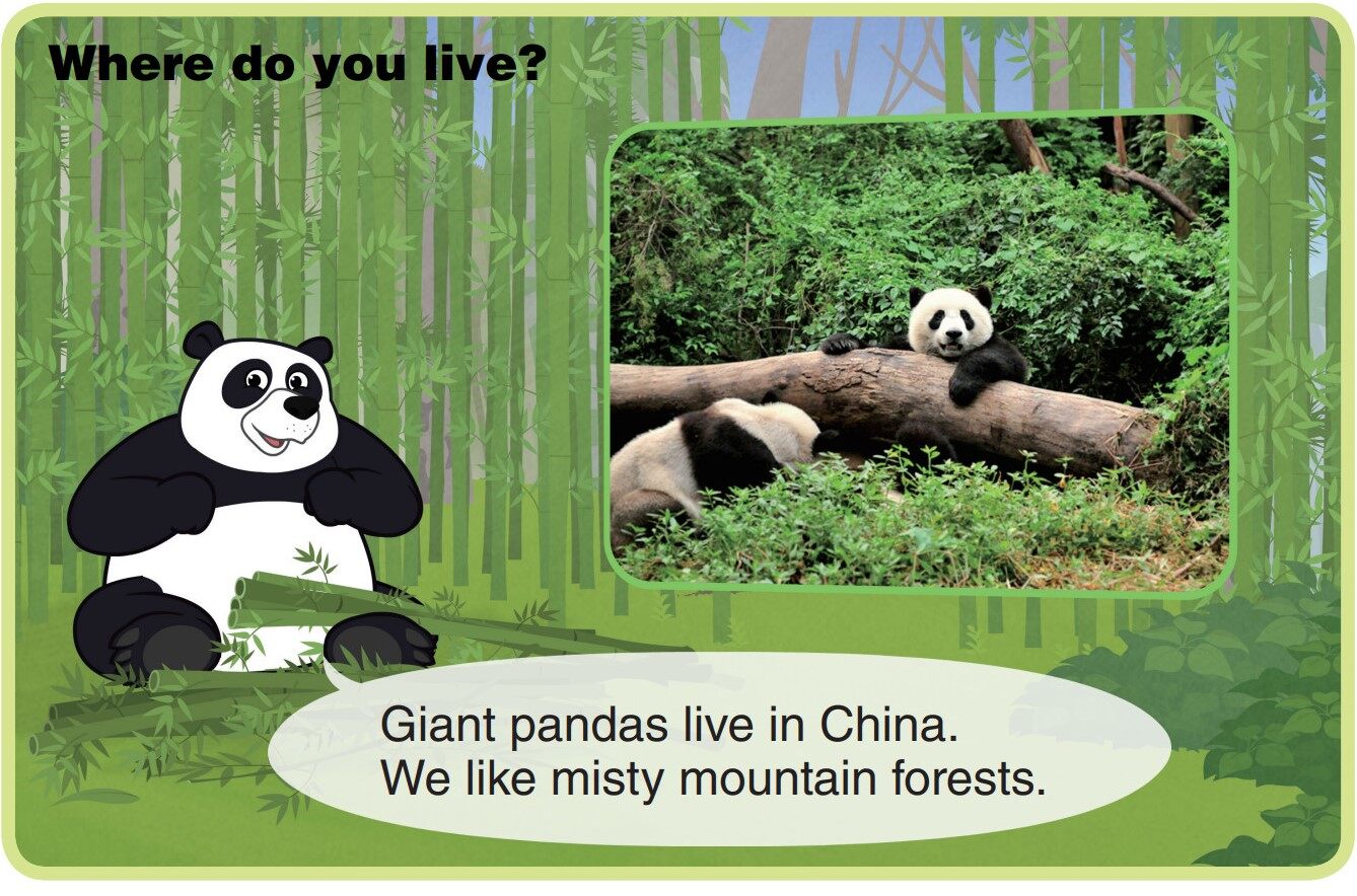 Giant Panda绘本故事第4页