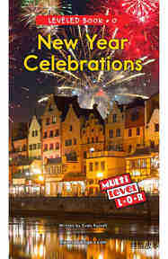 New Year Celebrations