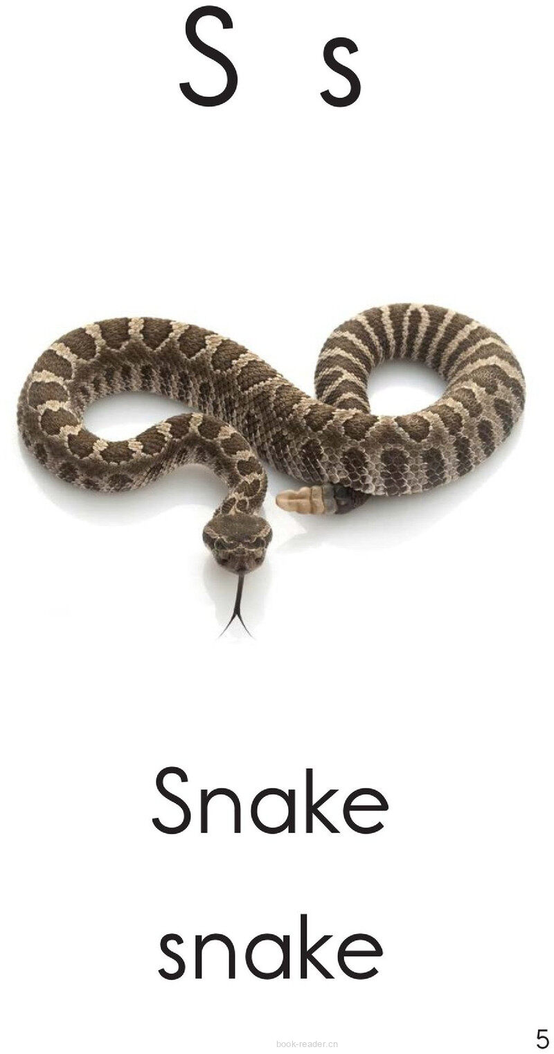 Letter S绘本故事第5页