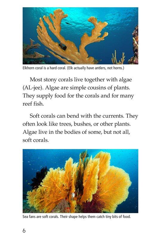 Coral Reefs绘本故事第5页