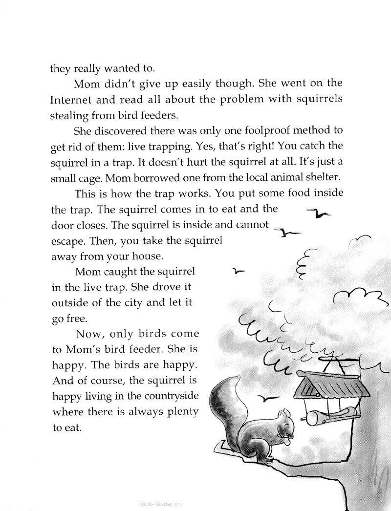 Who Wins?绘本故事第3页