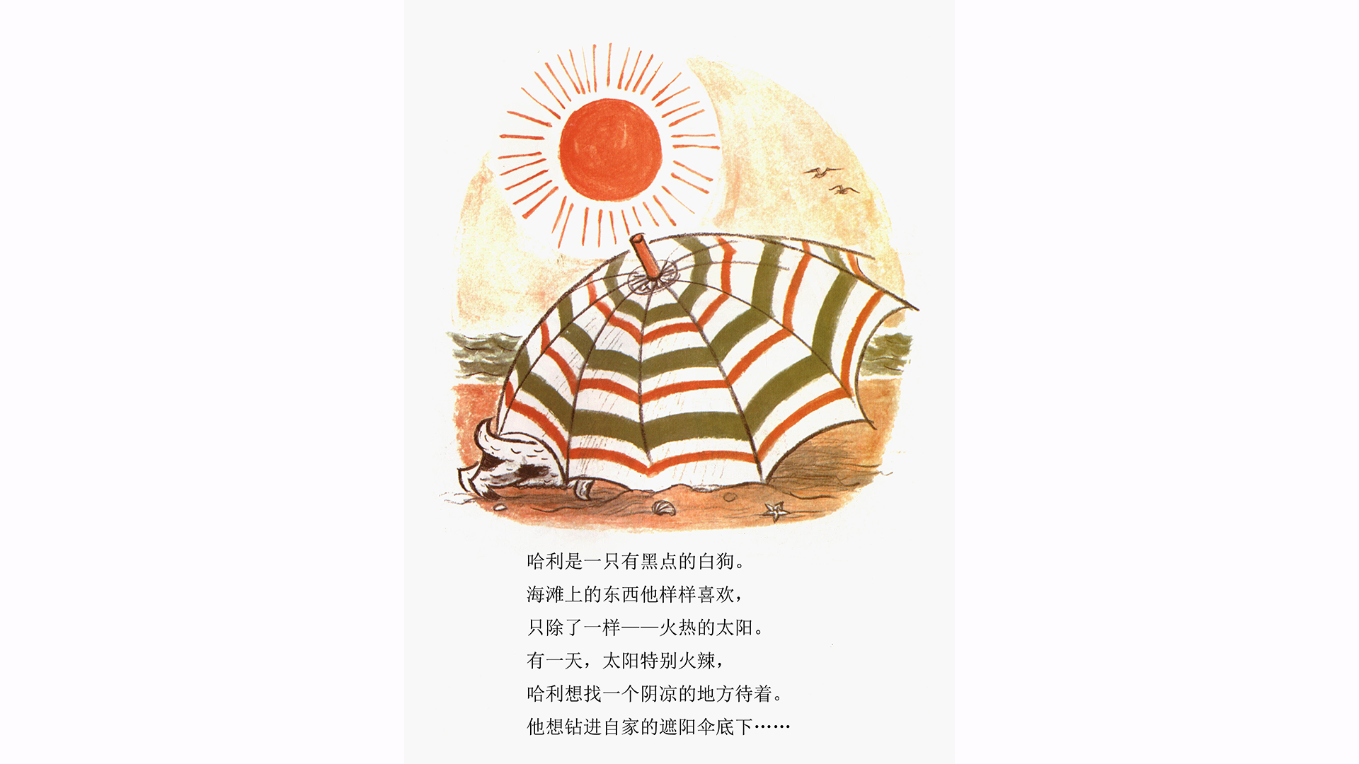 哈利海边历险记绘本故事第3页