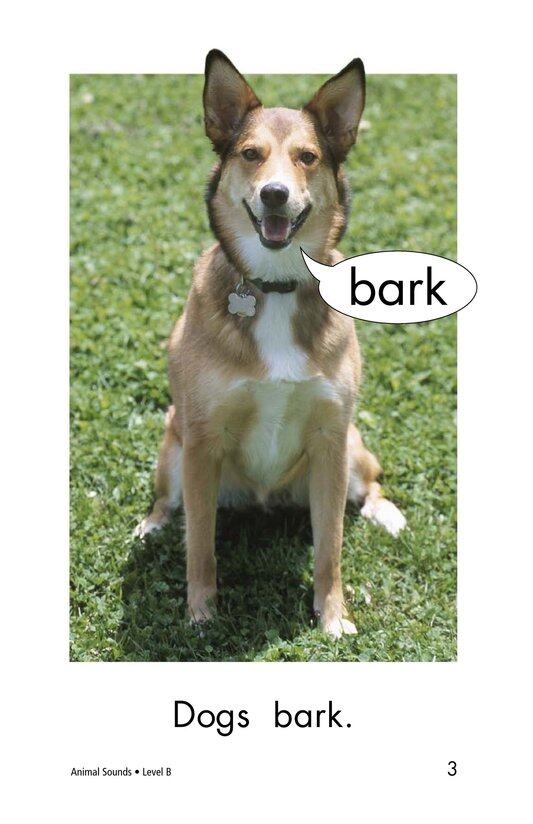 Animal Sounds绘本故事第3页