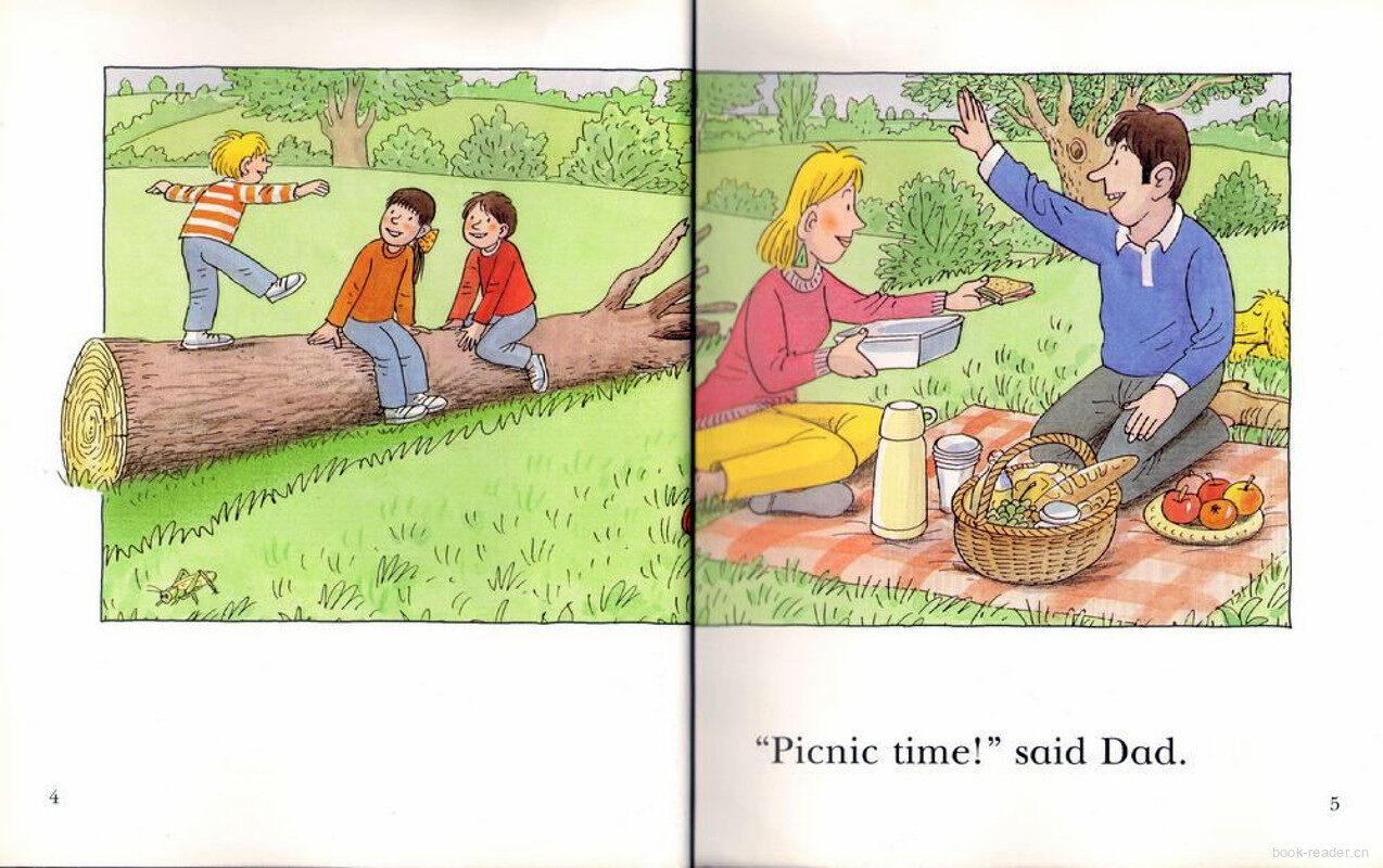 2B Picnic Time绘本故事第3页