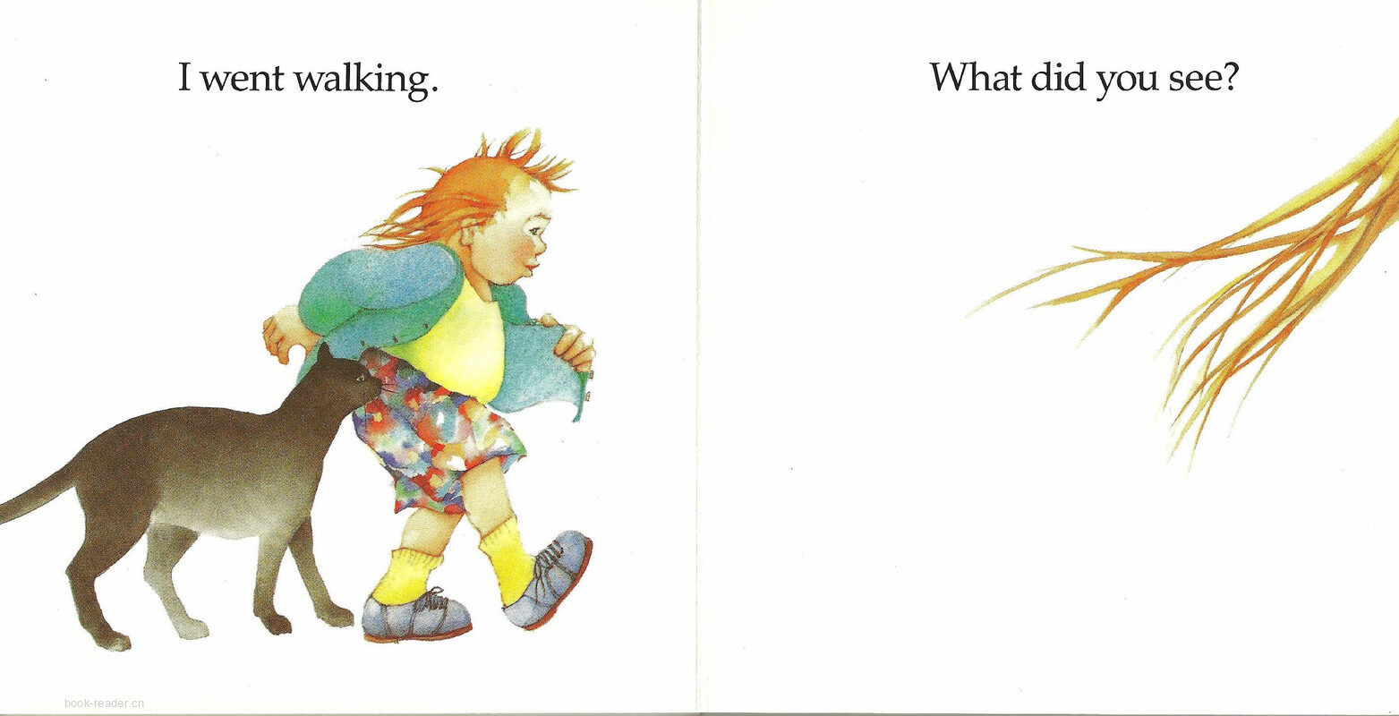 I Went Walking绘本故事第5页