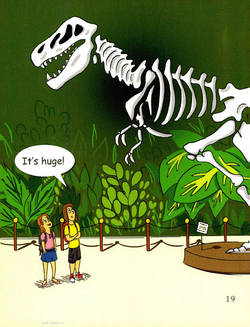 More about Dinosaurs绘本故事第3页