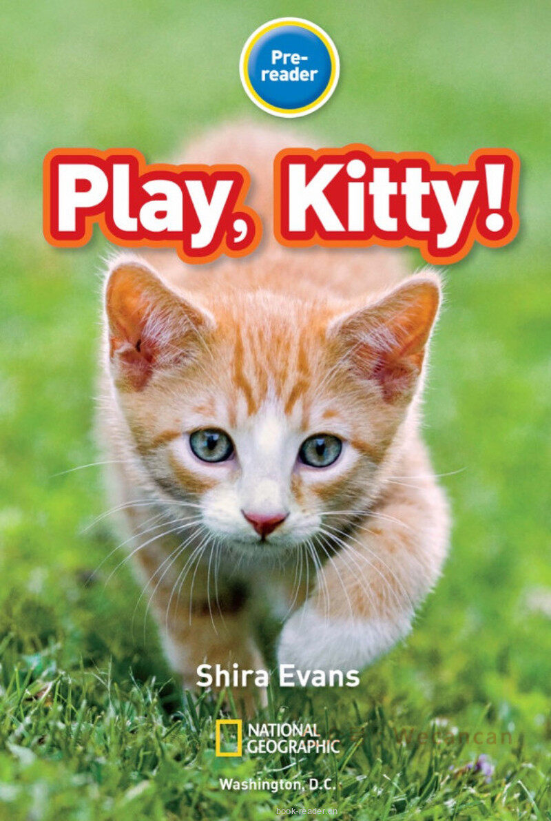 Play Kitty绘本故事第2页