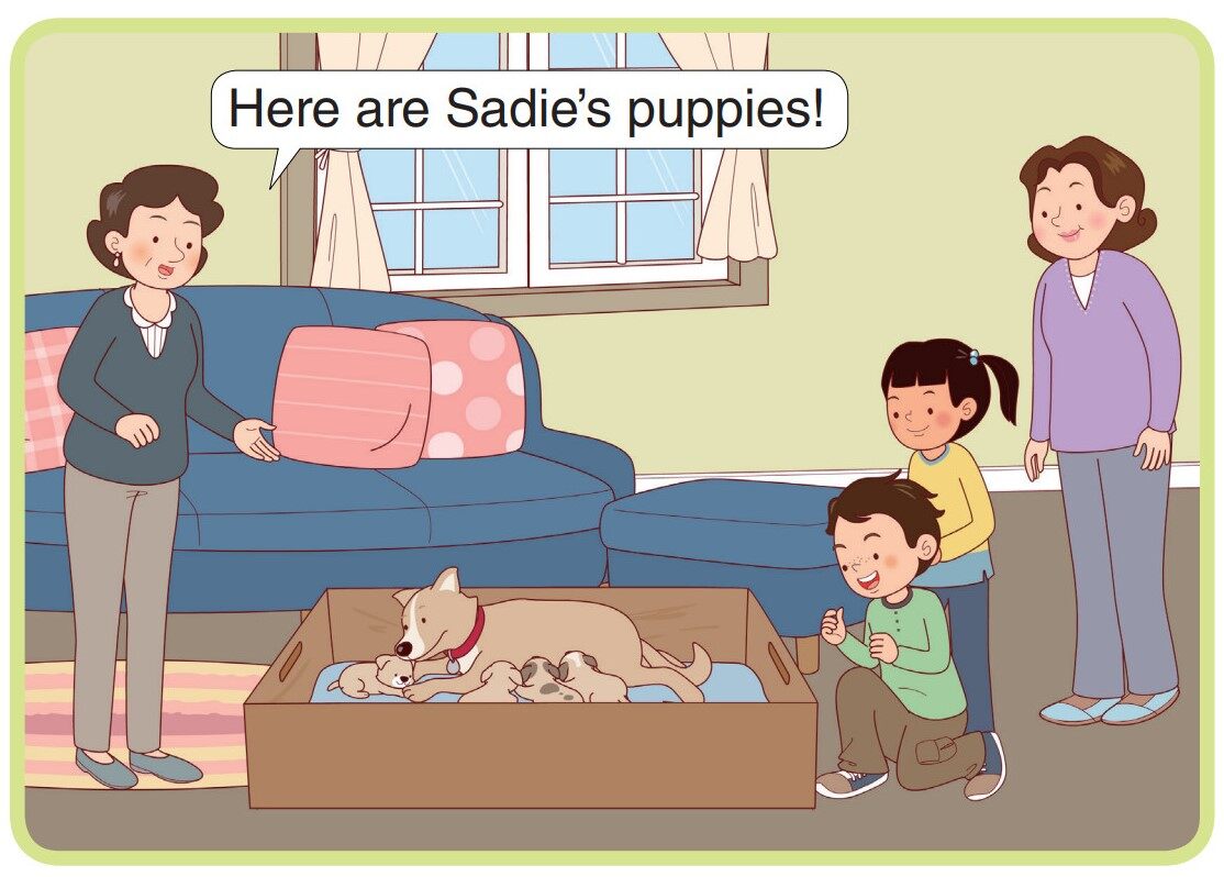 New Puppies!绘本故事第4页
