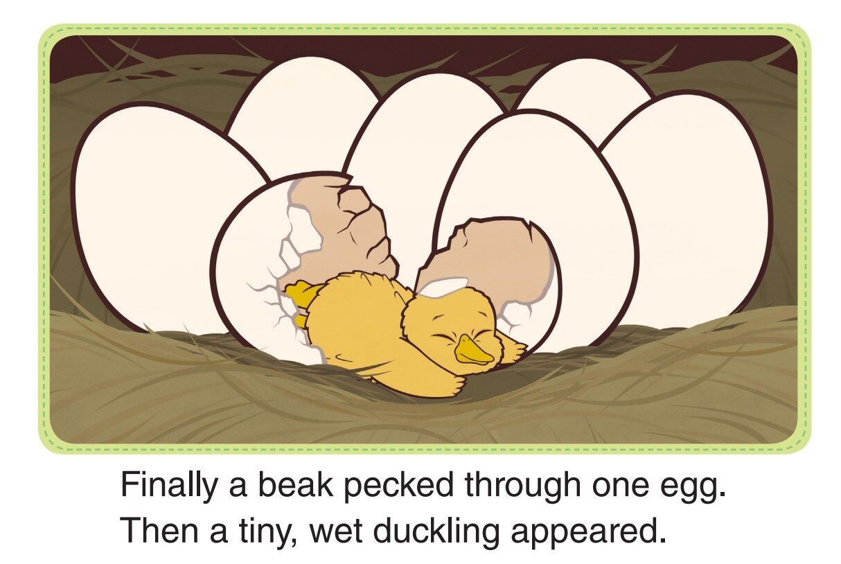 Jemima Takes Care of the Ducklings 1_One Baby绘本故事第4页