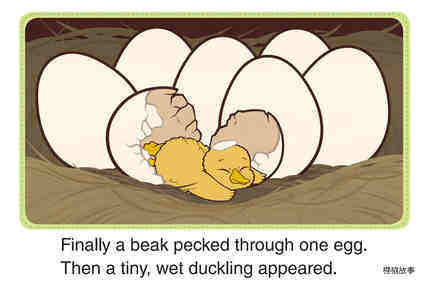 Jemima Takes Care of the Ducklings 1_One Baby绘本故事第4页