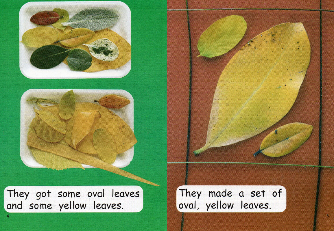 sets in nature绘本故事第4页