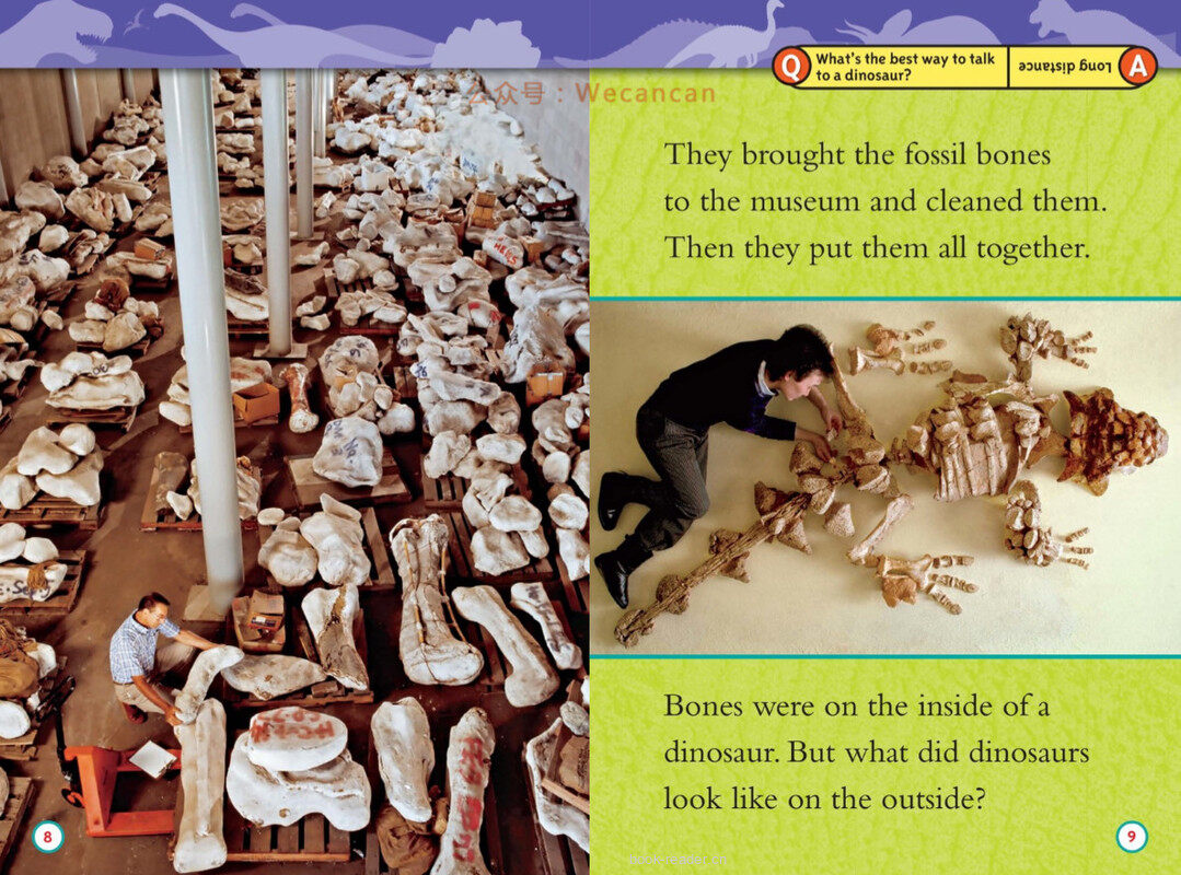 Dinosaurs绘本故事第5页