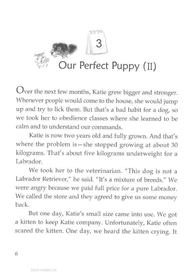 Our Perfect Puppy (II)绘本故事第2页
