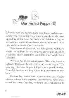 Our Perfect Puppy (II)绘本故事第2页