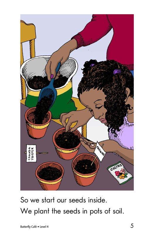 Butterfly Cafe绘本故事第5页