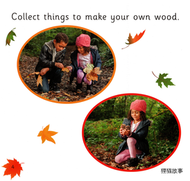 Art in the Woods绘本故事第4页