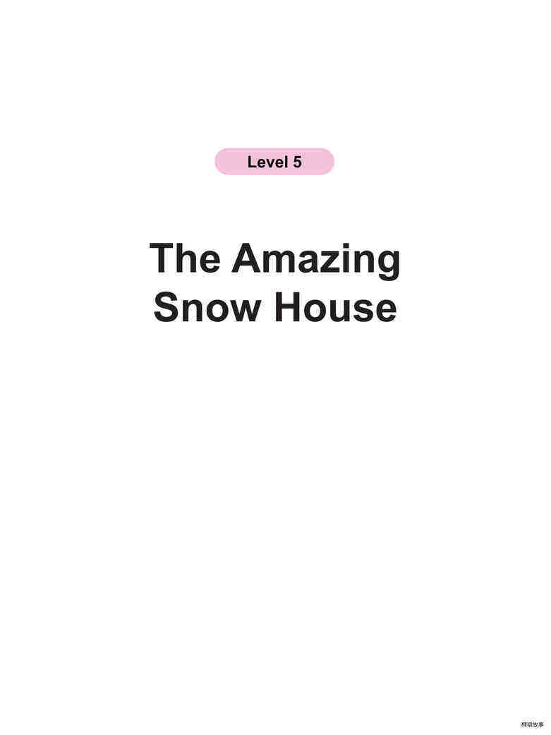 The Amazing Snow House