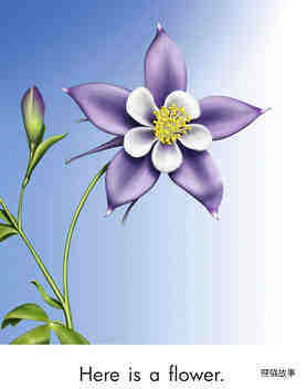 Parts of a Flower绘本故事第3页