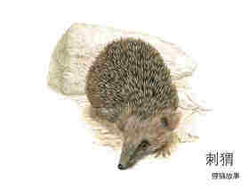 这是谁的家绘本故事第3页