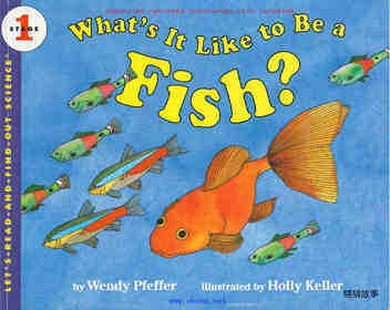 What is It Like to Be a Fish