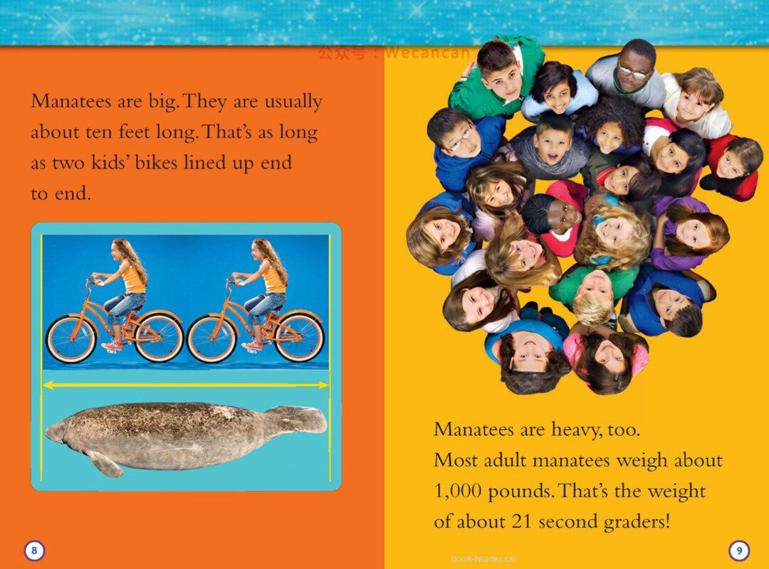 Manatees绘本故事第5页