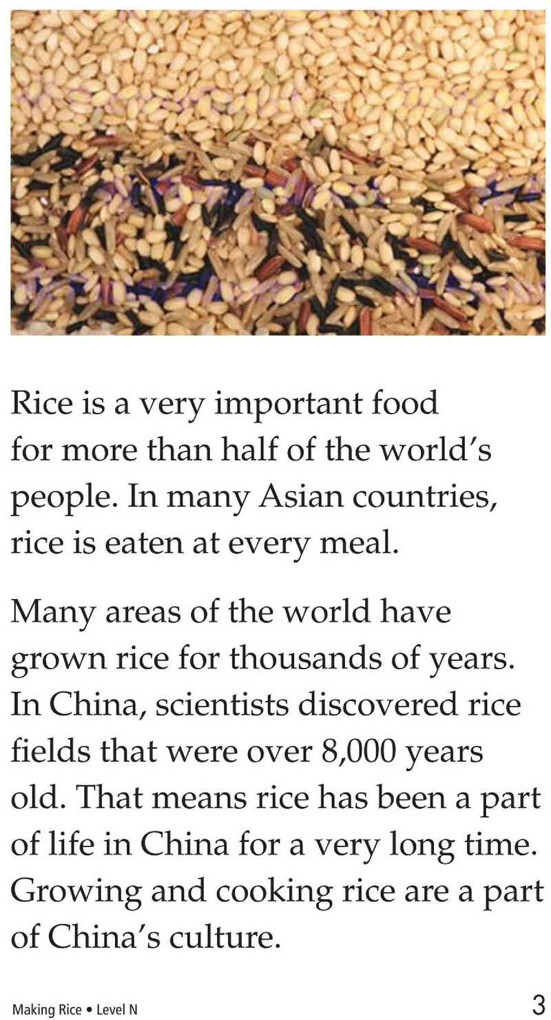 Making Rice绘本故事第3页
