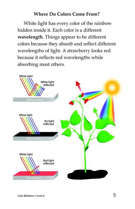 Color Blindness绘本故事第4页